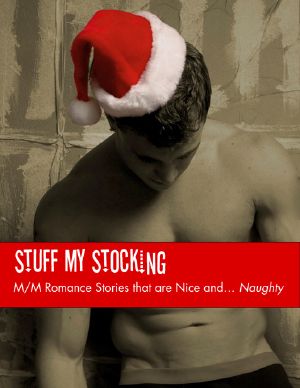 [M/M Romance Groups anthologies 01] • Stuff My Stocking · M-M Romance Stories that are Nice and Naughty